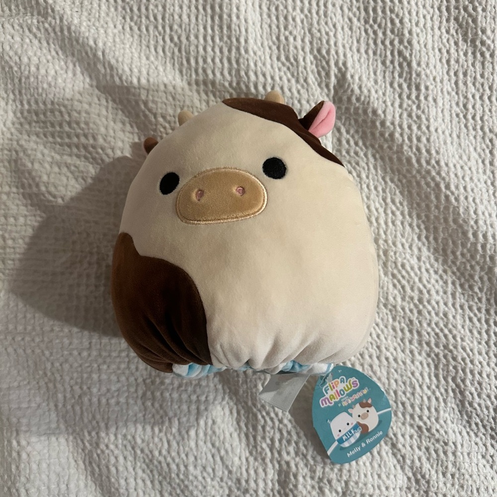 Melly and Ronnie Squishmallow
